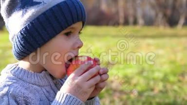 <strong>一个</strong>在秋天公园野餐的孩子。 他吃了<strong>一个</strong>多汁的<strong>红苹果</strong>。 合上脸